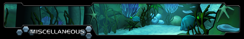 Miscellaneous 3D Pieces